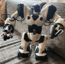 ROBOSAPIEN Funktionsfähig