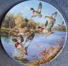 Schirnding Porzellan