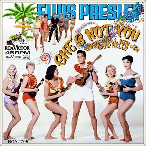 Repro photo elvis - repro,