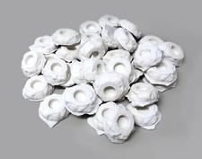 35 Ablegersteine Meerwasser 4