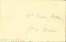 13813050 - Aufgeklebte getrocknete echte Pflanze Erdrauch Applikation