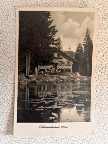Arbersee restaurant - ak,