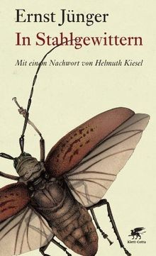 Stahlgewittern mit einem - in, stahlgewittern: