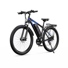 29 Zoll E-Bike Herren