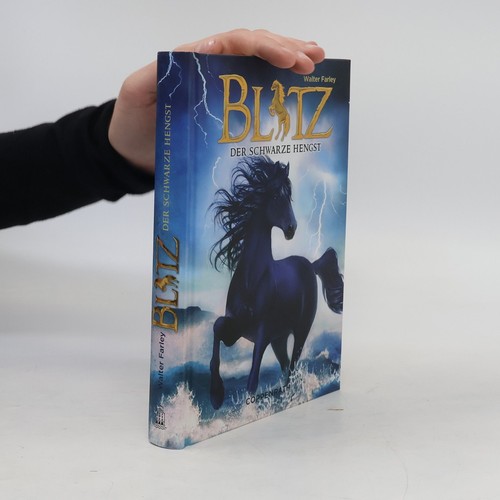 Blitz der schwarze hengst - blitz,,