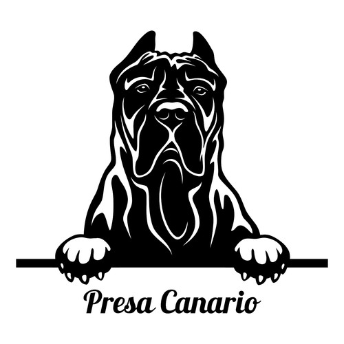 Dogo canario auto - auto, aufkleber