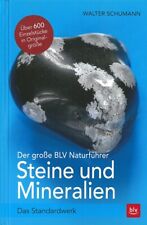 Schumann: Der große BLV