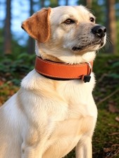 Designer Natur-Leder