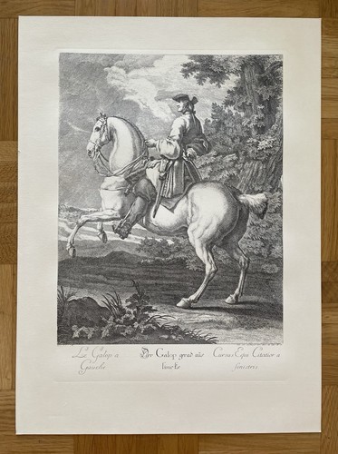 Kupferstich johann elias - kupferstich,