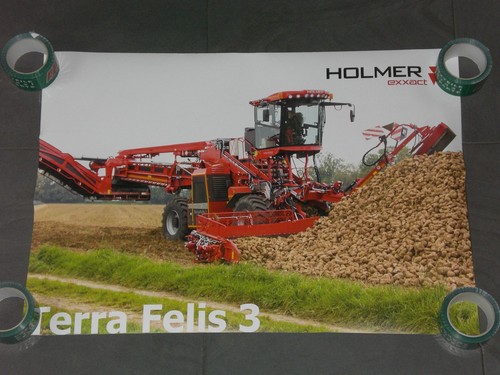 Holmer terra felis - holmer, 3