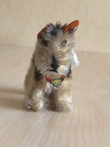 Steiff hund terry - steiff, 50er