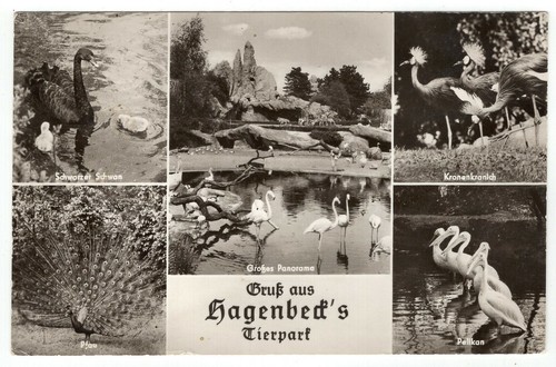 Carl hagenbecks tierpark - carl,