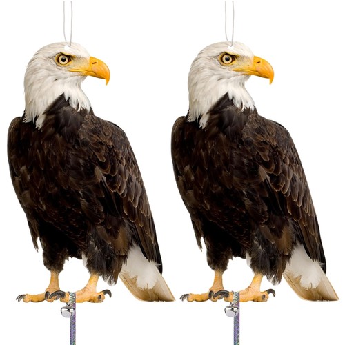 Vogelscheuche raben attrappe - raben,