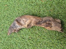 Selten gebogen HAMMERTEIL Unikat Skulptur  Schwemmholz Treibholz 19 x 4  cm 