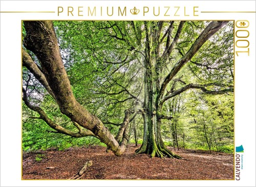Calvendo puzzle alte buche - alte, im