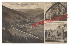 AK 1925 * WILDENTHAL