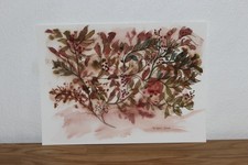 Original Aquarell Bild