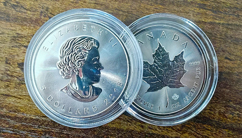 Kanada maple leaf - maple, 2021