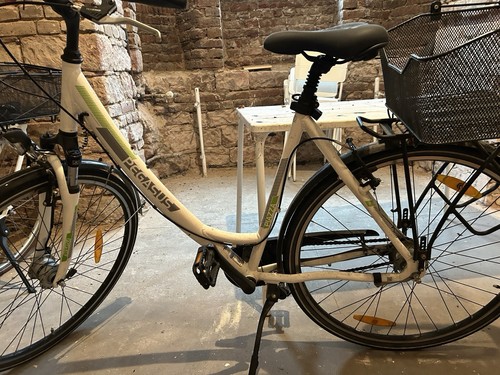Pegasus piazza trekking bike - trekking,