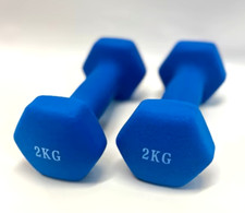 ❌ NEU Hanteln Vinyl 2 x 2 kg