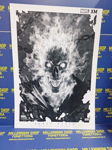 Ghost rider artwork - rider,