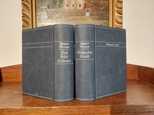 RICHARD MORGAN Glühender Stahl/Das kalte Schwert FANTASY Leder Handeinband