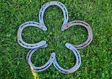 10 Hufeisen Original top