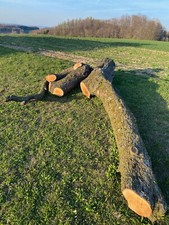 Birnenholz – ideal zum