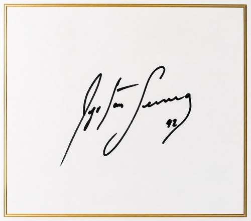 Ayrton senna handsigniertes - ayrton,
