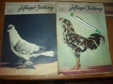 4 Zeitungen. 2x Deutsche