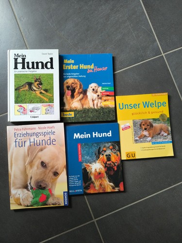 Hundeschule welpenschule - hundeschule,