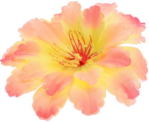 Große tiki dahlien flower - tiki,