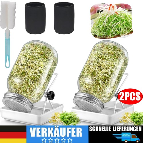 Sprossenglas keimglas anzucht - sprossenglas,