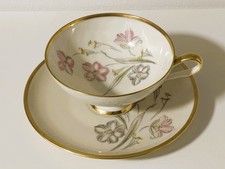 Sammeltasse CM Hutschenreuther Hohenberg 2-tlg Porzellan 1960-69