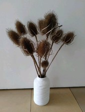 Wilde Karde Trockenblumen Strauß 10 Stück Gesteck Disteln Deko-Gesteck