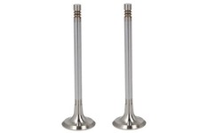 Exhaust valve for FENDT 203 P