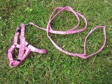 Trixie katzen hund geschirr - katzen,