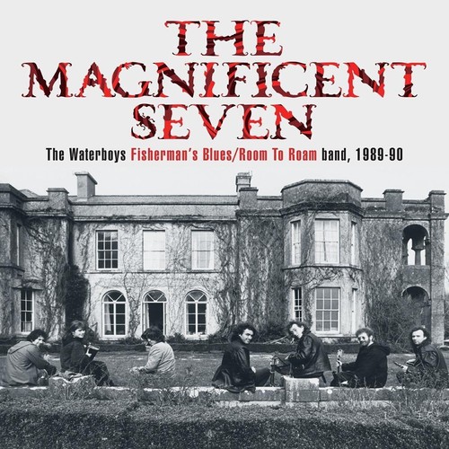 The waterboys magnificent - the,