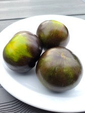 12 Tomatensamen Sorte Xanadu Green Goddess / Зелёная богиня Занаду