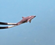 1/87 Delfin Delphin Resin Tier
