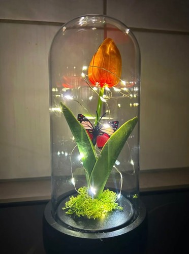 Geschenk tulpe orange - geschenk, orange/gelb