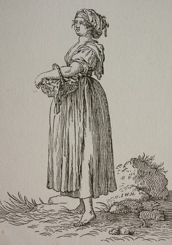 Meil j f unger - /,