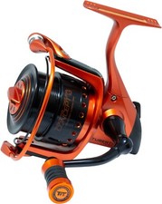 FTM Tubertini Concept D