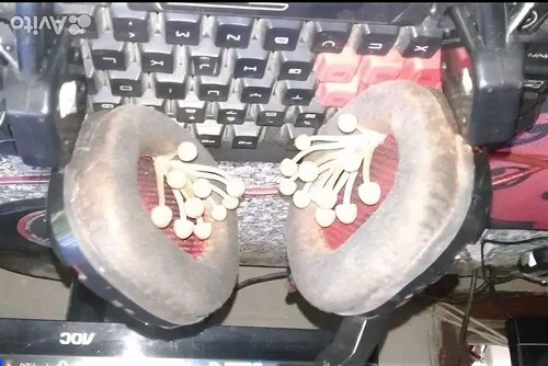 Yamaha akg y50 - akg,