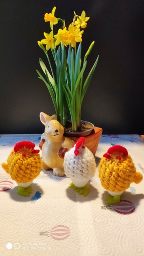 Hühner eierwärmer - hühner,