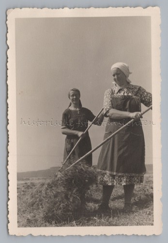 Frauen bei der heuernte - frauen,