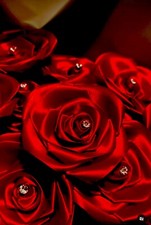 Hellrote Rosen mit Diamanten