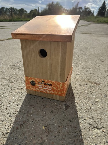 Vogelhaus nistkasten eiche mit - vogelhaus,