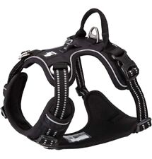 Truelove Hundegeschirr -