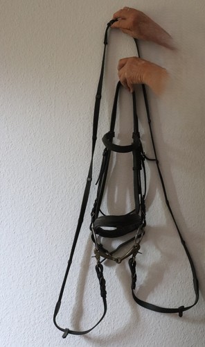 Pferdetrense leder schwarz - leder,